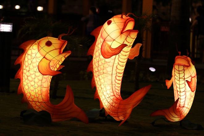 Con đường đèn lồng dài 1000m ở Đà Nẵng